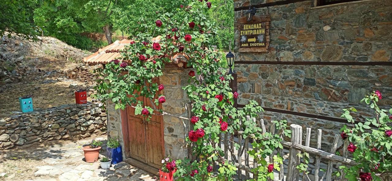 Sintrivanis Mountain Ano Skotina Екстериор снимка