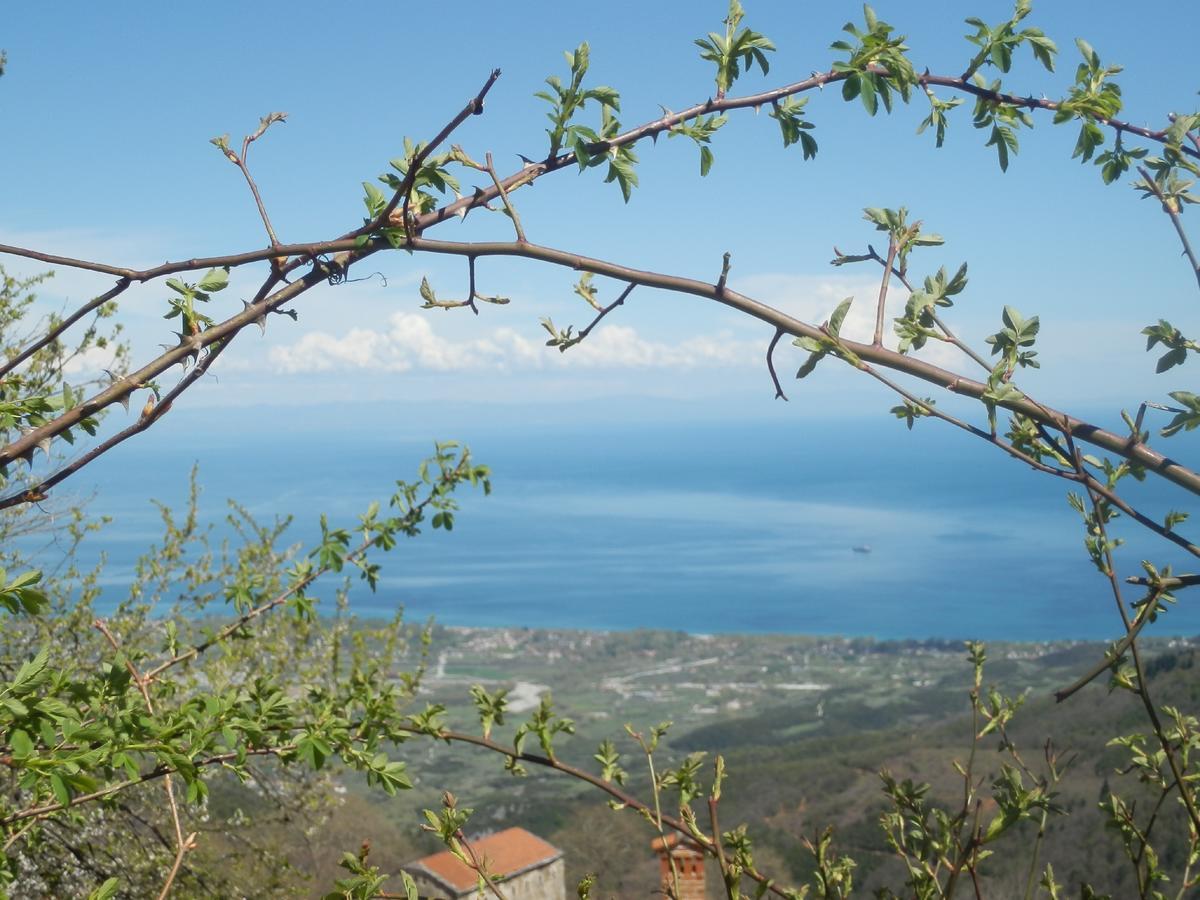 Sintrivanis Mountain Ano Skotina Екстериор снимка