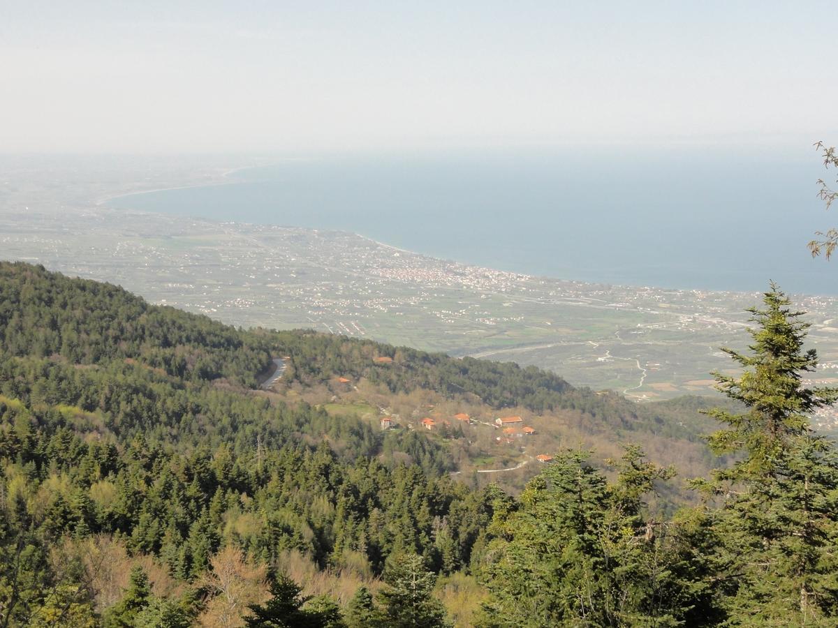 Sintrivanis Mountain Ano Skotina Екстериор снимка